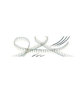 09670007256
