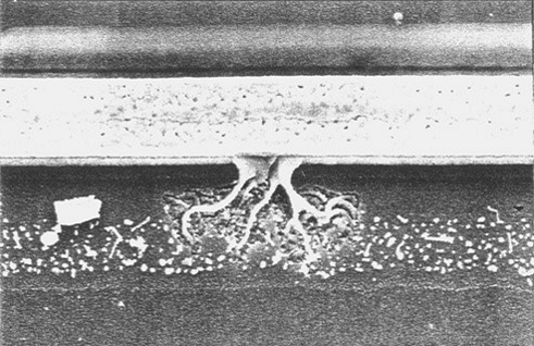 Delco and Ford stressing; MM ESD failure signature showing metal melt damage of an NMOS transistor located in the ESD protection circuitry.